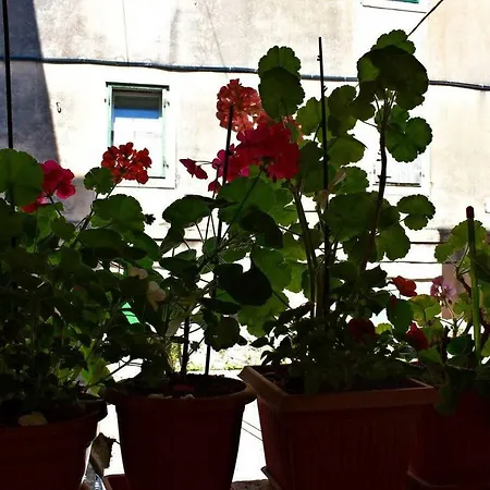 شقة Cozy Hidden Gem In The Old Town *